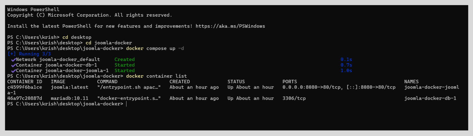 Terminal showing Docker containers starting up